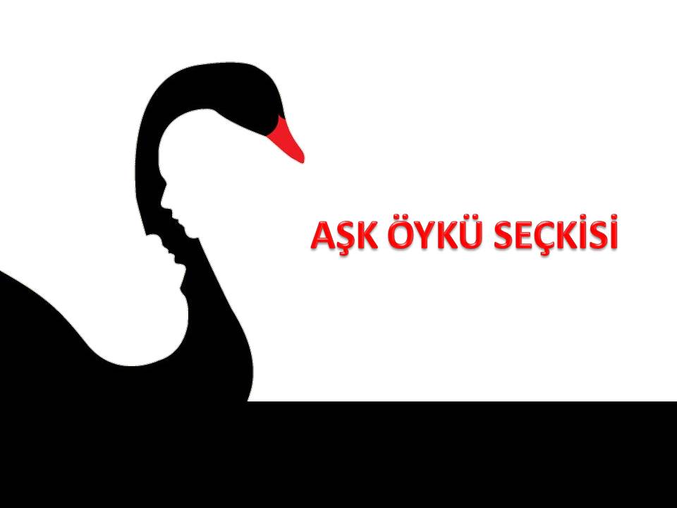 Aşk Öykü Seçkisi Yarışma Şartnamesi